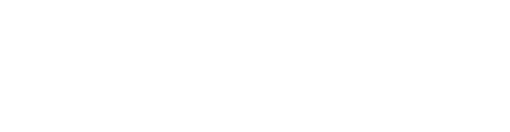Chasing The Ring